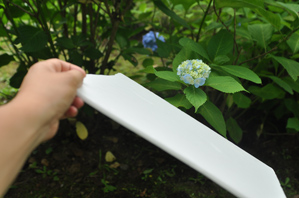 作例３レフを使う