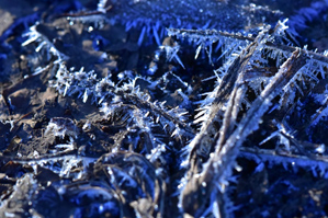 作例3 試しに逆光で撮ってみた