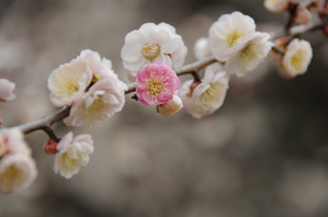 作例2 背景が地味