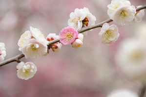 作例3 背景に彩を