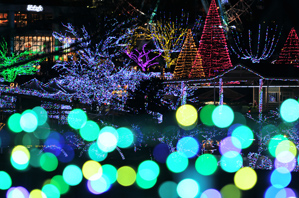 作例3 一歩下がって前ボケをたくさん入れる