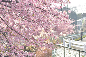 作例5 人物を後ボケにして入れる