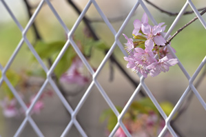 作例6 小さな素材を見つける