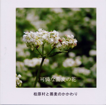 自主出版　可憐な蕎麦の花