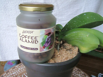 アラミドコーヒー