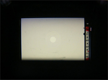 綺麗になったファインダー