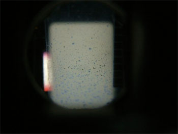 ビームスプリッターの腐食