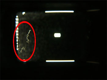 ファインダーのカビ