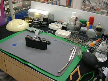 カウンター側からの様子