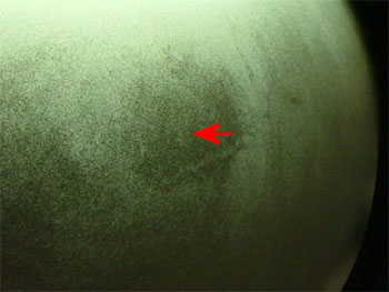 清掃後の拡大画像