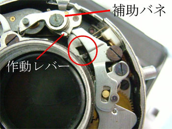 セミレオタックスRの内部構造