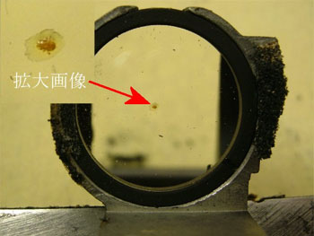 ファインダー組み品に付着したケナガコナダニ