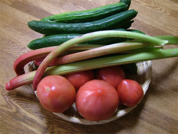 トマト・ルバーブ・地這胡瓜