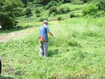 草刈り機で除草