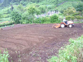 耕耘が終わった畑