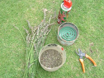 虫除けいろいろ