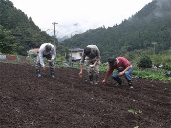 種蒔き