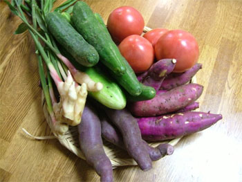 紅あずま・紫芋・谷中生姜・地這胡瓜・地元産トマト