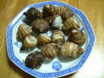 モチモチの里芋