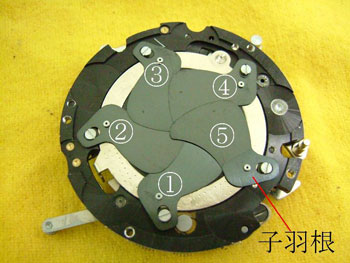 シャッター羽根