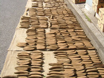 東京鰹節センター路上の鰹節