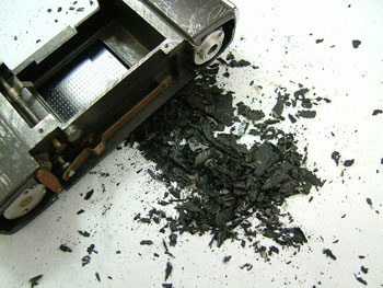 炭化したような擬皮