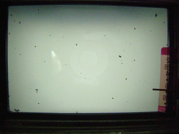 加水分解したモルトの破片