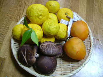 生椎茸と柚を戴きました