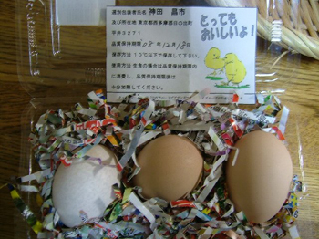 味わう前に消えて無くなりました