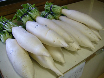 おふくろ大根