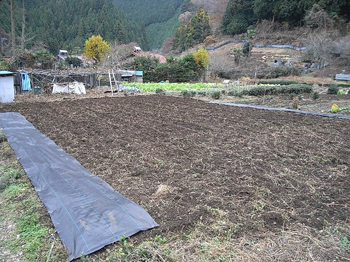 お隣に接します端に防草シート