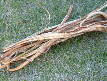 里芋の茎を乾かした芋がら