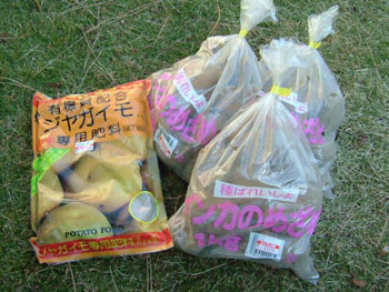 ジャガイモ用の肥料と「インカのめざめ」種ジャガイモ