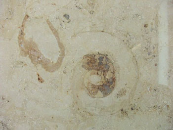 日本橋地下通路の大理石