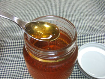 りんごのペクチン完成