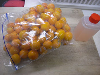 東京産金柑とリンゴペクチン