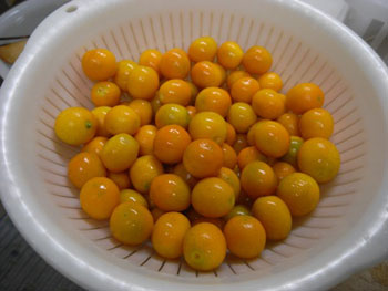 金柑ジャム作り１：水洗いで汚れを落とす