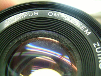 生地の裏側に発生するカビ