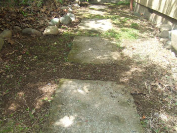 雑草を取り除いた表