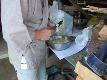 ネギの空中切り