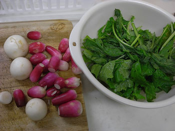 小蕪・ラディッシュ・蕗