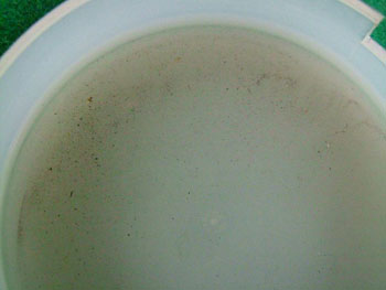 シャッター機構部についていた汚れと金属の磨耗粉