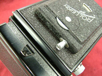 よみがえった擬皮