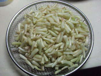 収穫したラッキョ