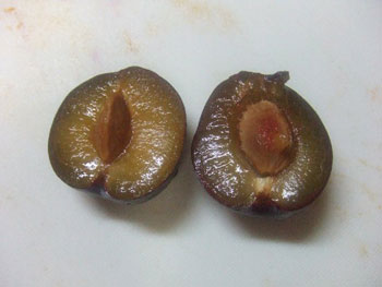 切れ目の状態の比較