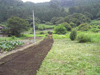 傾斜が一番強い畑