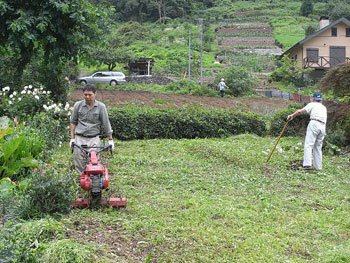 自分の耕耘機で畑を耕耘
