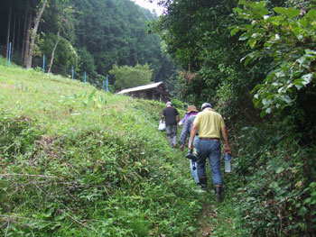 蕎麦畑への山道