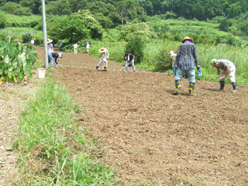 下川乗地区の畑