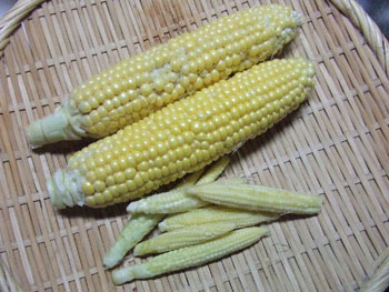 とうもろこし2本